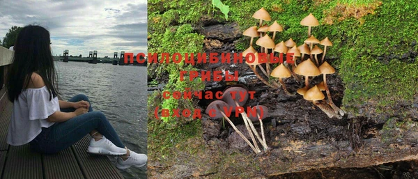 мескалин Алексин