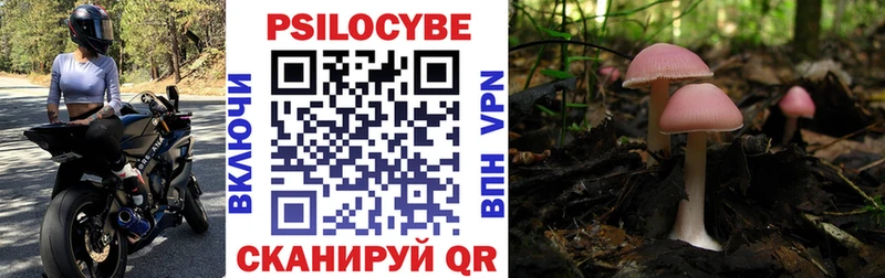 MEGA как войти  Лабытнанги  Галлюциногенные грибы прущие грибы 